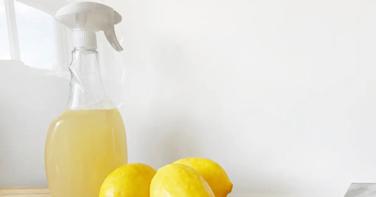 How to Clean a Fridge that Smells with lemon water and soda