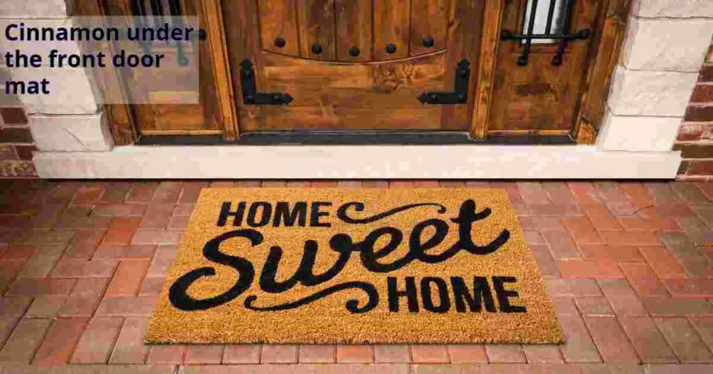 Cinnamon under the front door mat, welcome mat in front of door, also called welcome mat