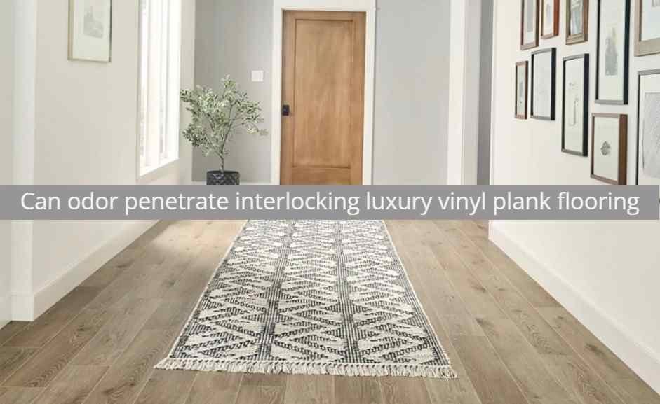 Can odor penetrate interlocking luxury vinyl plank flooring