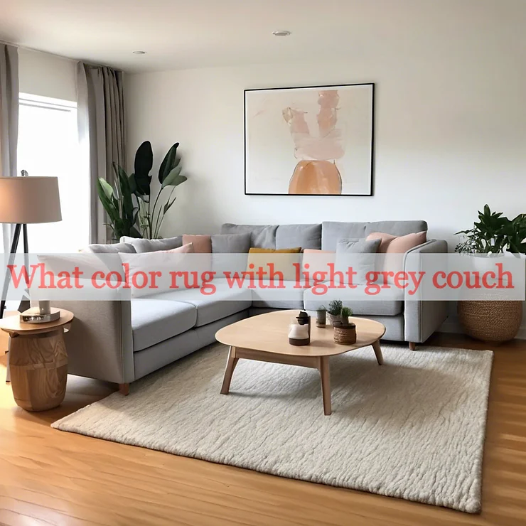 What color rug with light grey couch