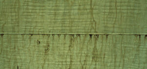 Everything You Need to Know About Surfactant Leaching