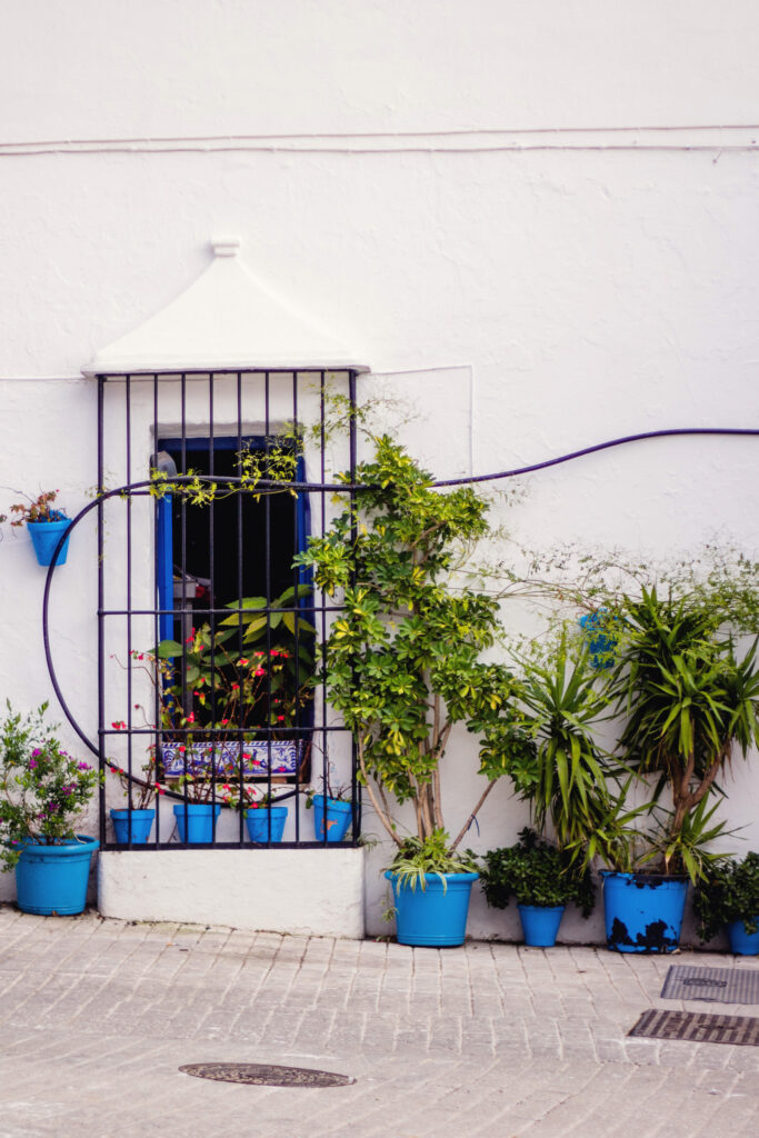 Modern vs. Traditional Front Yard Decor Styles