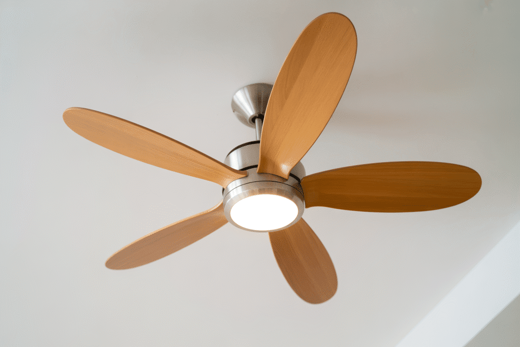 Ceiling Fan