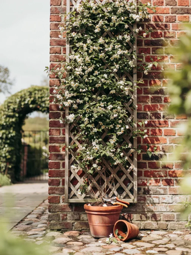 Choosing the Right Trellis: A Decision Framework